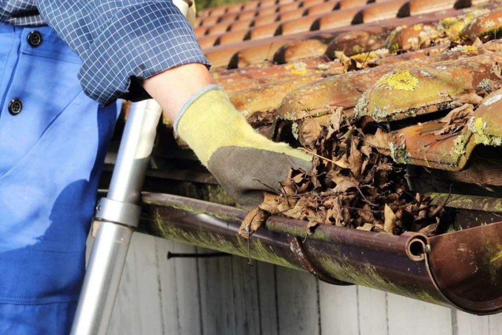 Metal Roofing Services In Harris County Tx 9 diploma 4
